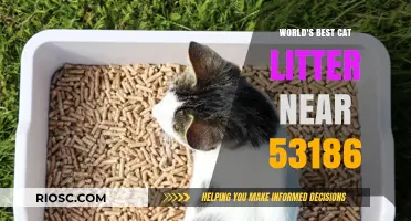 Purr-fectly Clean: Discover the Top-Rated Cat Litter Near 53186