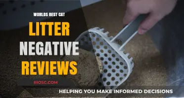 Unsatisfied Feline Fans: A Roundup of the World's Best Cat Litter Negative Reviews
