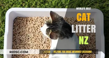 Top-Rated Cat Litter in New Zealand: A Comprehensive Guide for Feline Friends