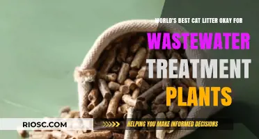 Eco-Friendly Feline Waste: The Cat Litter That's Safe for Wastewater Treatment Plants