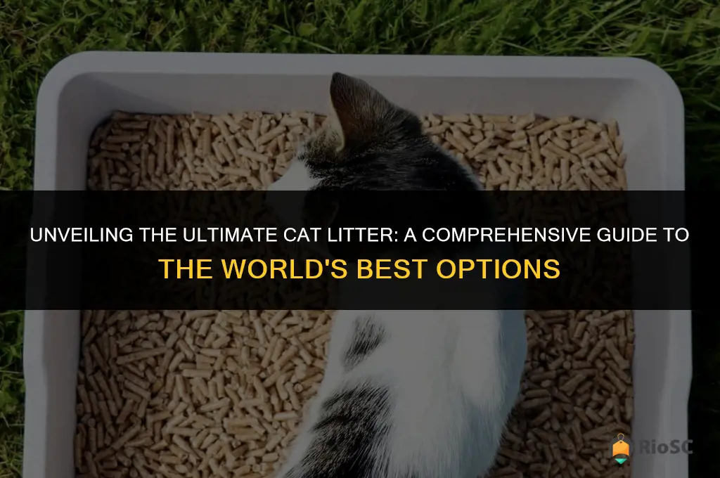 worlds best cat litter open