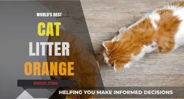 Purr-fectly Clean: Discover the World's Best Orange Cat Litter for Your Feline Friend