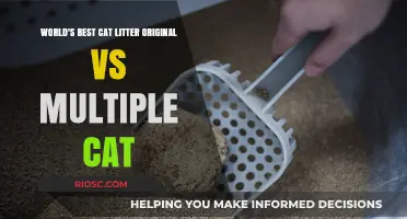 Comparing the Classics: World's Best Cat Litter Original vs. Multiple Cat - Which Reigns Supreme?