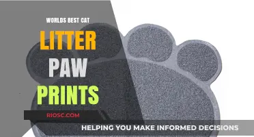 Purr-fectly Clean: Unveiling the World's Best Cat Litter for Immaculate Paw Prints