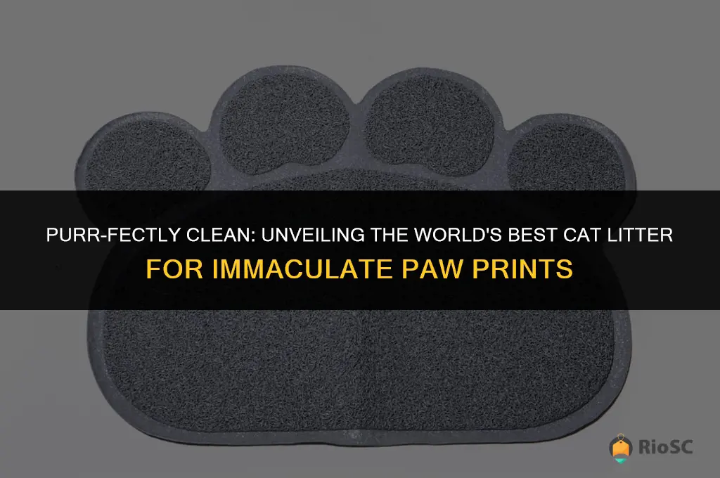 worlds best cat litter paw prints