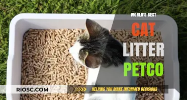 Top-Rated Cat Litter at Petco: Discover the World's Best Options for Your Feline Friend