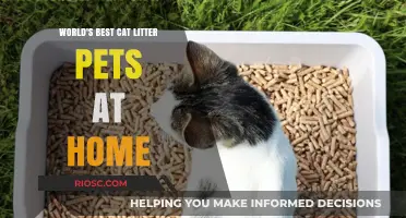 Purr-fectly Clean: The Ultimate Guide to Choosing the World's Best Cat Litter for Your Feline Friends