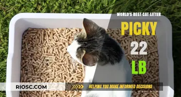 Top-Rated Cat Litter for Picky Felines: A Comprehensive Guide to the Best Options Available