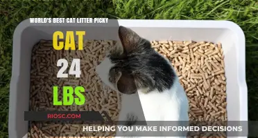 Top-Rated Cat Litter for Picky Felines: A Comprehensive Guide for 24-Pound Cats