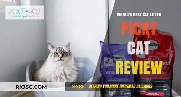 Purr-fectly Picky: A Comprehensive Review of the World's Best Cat Litter for Discerning Felines