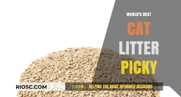 The Purr-fect Choice: Unveiling the World's Best Cat Litter for Picky Felines