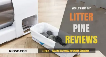 Purr-fectly Pine: Unveiling the Top Cat Litter Choices for Your Feline Friend