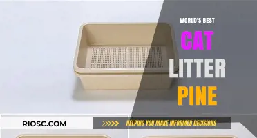 Revolutionize Your Feline Friend's Comfort: Discover the Superiority of Pine Cat Litter