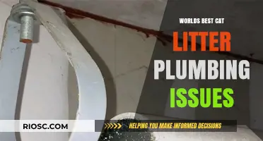 The Purr-fect Storm: When the World's Best Cat Litter Meets Plumbing Woes