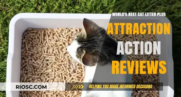 Purr-fectly Clean: Unveiling the World's Best Cat Litter and Attraction Action Reviews