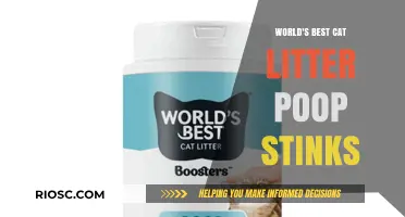The Scoop on the World's Best Cat Litter: Does It Really Keep the Poop Stink at Bay?