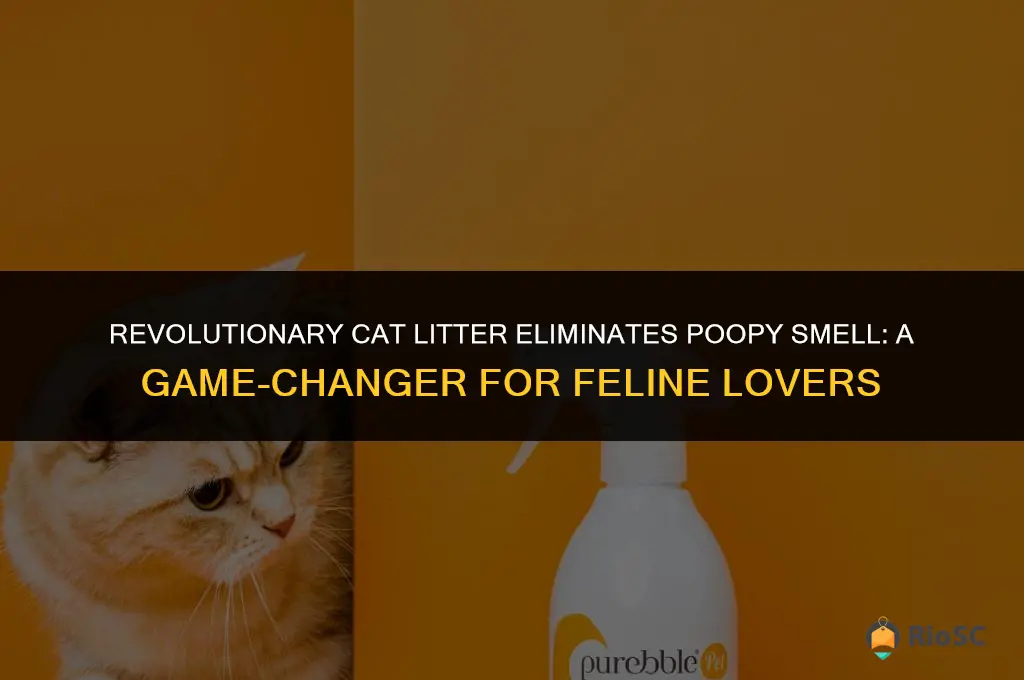 worlds best cat litter poopy smell