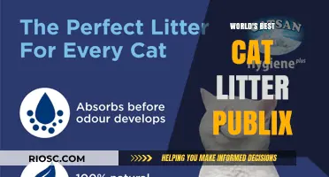 Unveiling the Purr-fect Choice: Publix's Top-Rated Cat Litter for Discerning Felines