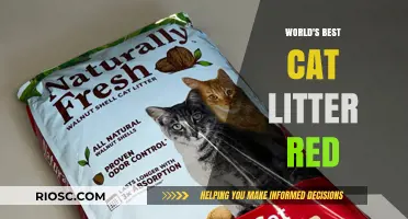 Revolutionize Your Feline Friend's Comfort: Discover the World's Best Red Cat Litter!