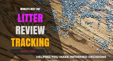 Purr-fectly Clean: A Comprehensive Review of the World's Best Cat Litter Tracking Solutions