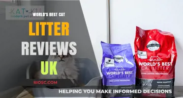 Purr-fectly Clean: Top Cat Litter Picks for UK Pet Owners