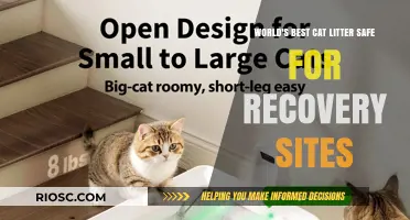 Purr-fectly Safe: The Ultimate Guide to Choosing Cat Litter for Recovery Sites
