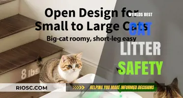 Purr-fectly Safe: The Ultimate Guide to Choosing the World's Best Cat Litter for Your Feline Friend