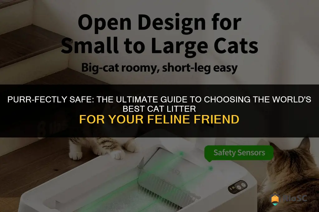 worlds best cat litter safety
