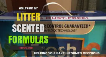 Purr-fectly Pleasant: Unveiling the World's Best Cat Litter Scented Formulas