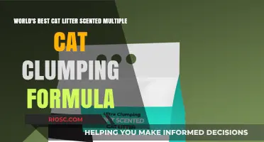 Purr-fectly Clean: The Ultimate Guide to the World's Best Cat Litter Scented Multiple Cat Clumping Formula