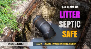 Eco-Friendly and Septic-Safe: Discover the World's Best Cat Litter for Your Home and the Environment