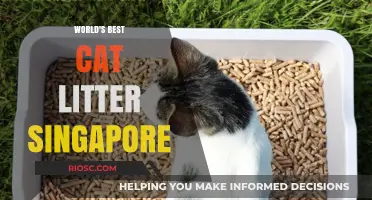 Purr-fectly Clean: Singapore's Top Choice for Cat Litter Revealed!