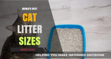 Purr-fectly Sized: Unveiling the World's Best Cat Litter Options
