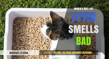 The Paradox of Purr-fect Litter: When the World's Best Cat Litter Has a Not-So-Purr-fect Smell