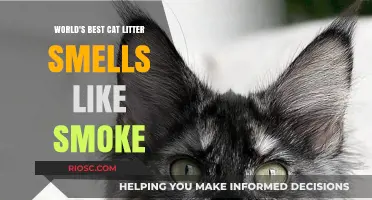 Purr-fectly Smoky: The Cat Litter That's Got Felines and Owners Alike Scratching Their Heads