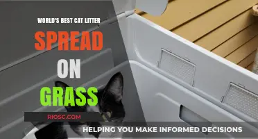 Revolutionary Cat Litter Takes Outdoor Spaces by Storm: A Game-Changer for Feline Friends and Their Owners