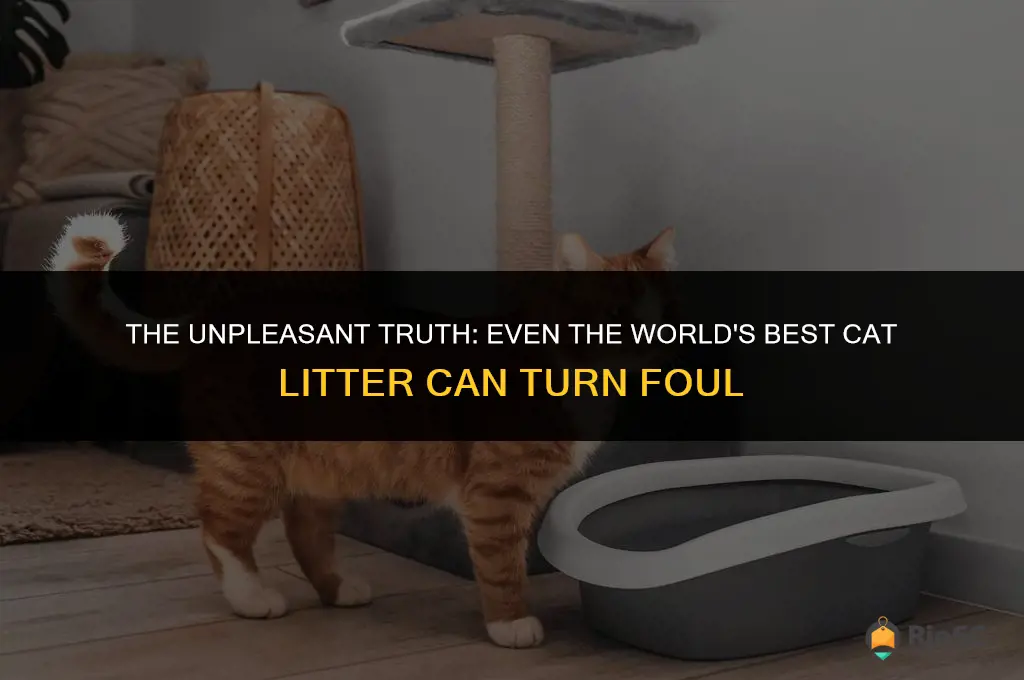 worlds best cat litter starts to smell bad