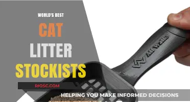 Purr-fect Picks: Unveiling the World's Top Cat Litter Stockists for Feline Friends
