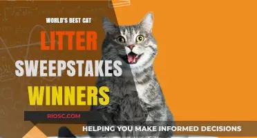 Purr-fectly Lucky: Meet the Winners of the World's Best Cat Litter Sweepstakes!