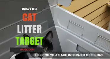 Revolutionary Cat Litter: The Ultimate Solution for Pet Owners Targeting Cleanliness and Odor Control