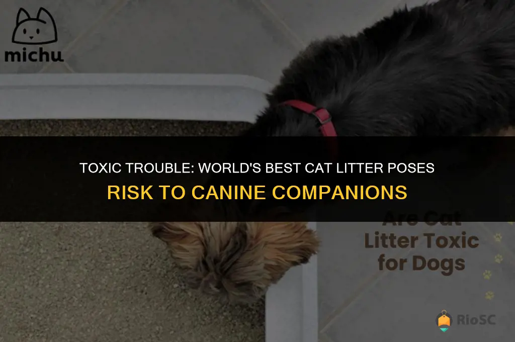 worlds best cat litter toxic for dogs