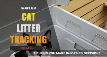 Revolutionary Cat Litter Tracking: The Ultimate Guide to a Cleaner Home