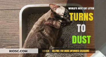 Revolutionary Cat Litter Disintegrates to Dust: A Game-Changer for Feline Hygiene