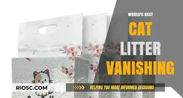 The Mysterious Disappearance of the World's Favorite Cat Litter