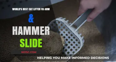 Comparing the World's Best Cat Litter to Arm & Hammer Slide: Which One Reigns Supreme?