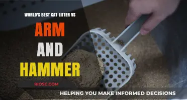 World's Best Cat Litter vs Arm & Hammer: A Comparative Analysis for Feline Friends