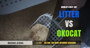 Top-Rated Cat Litter Showdown: World's Best vs. Okocat - Which Reigns Supreme?