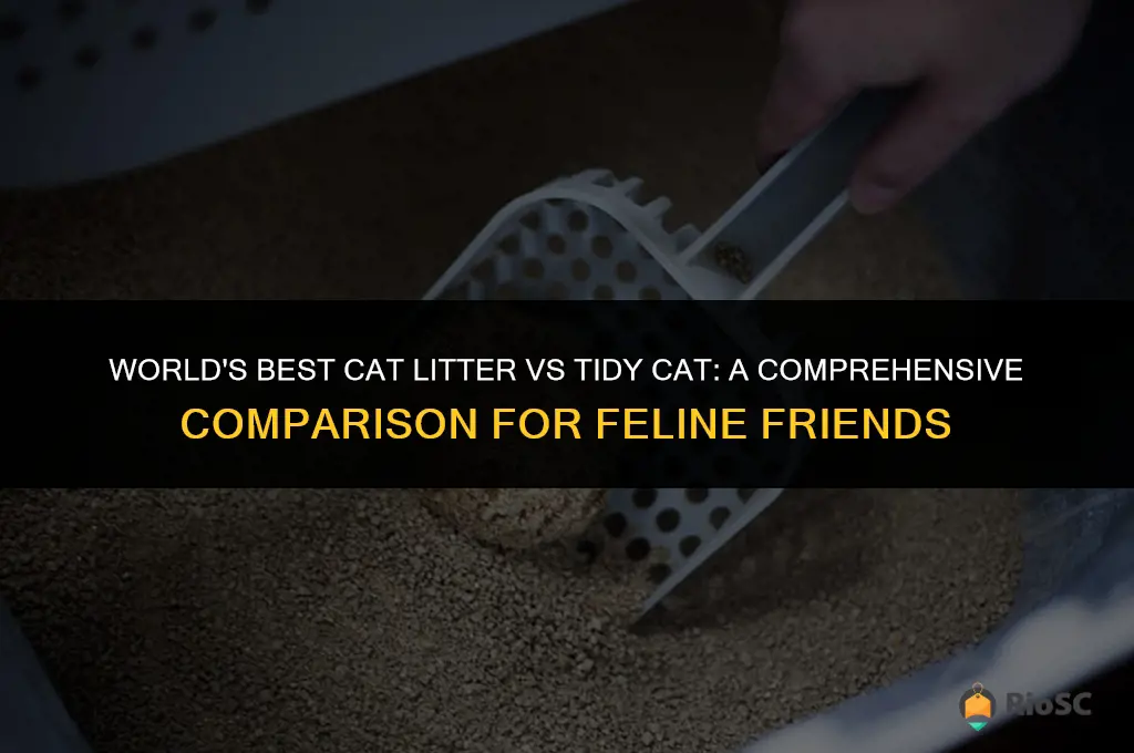 worlds best cat litter vs tidy cat