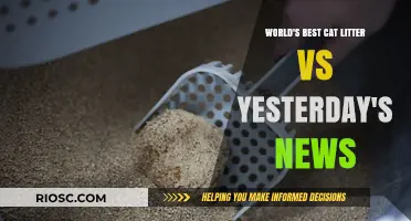 World's Best Cat Litter vs Yesterday's News: A Feline's Perspective on Litter Box Luxury