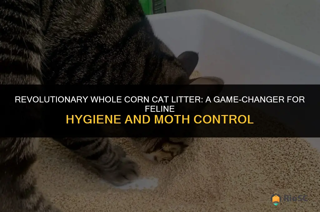 worlds best cat litter whole corn moths inside